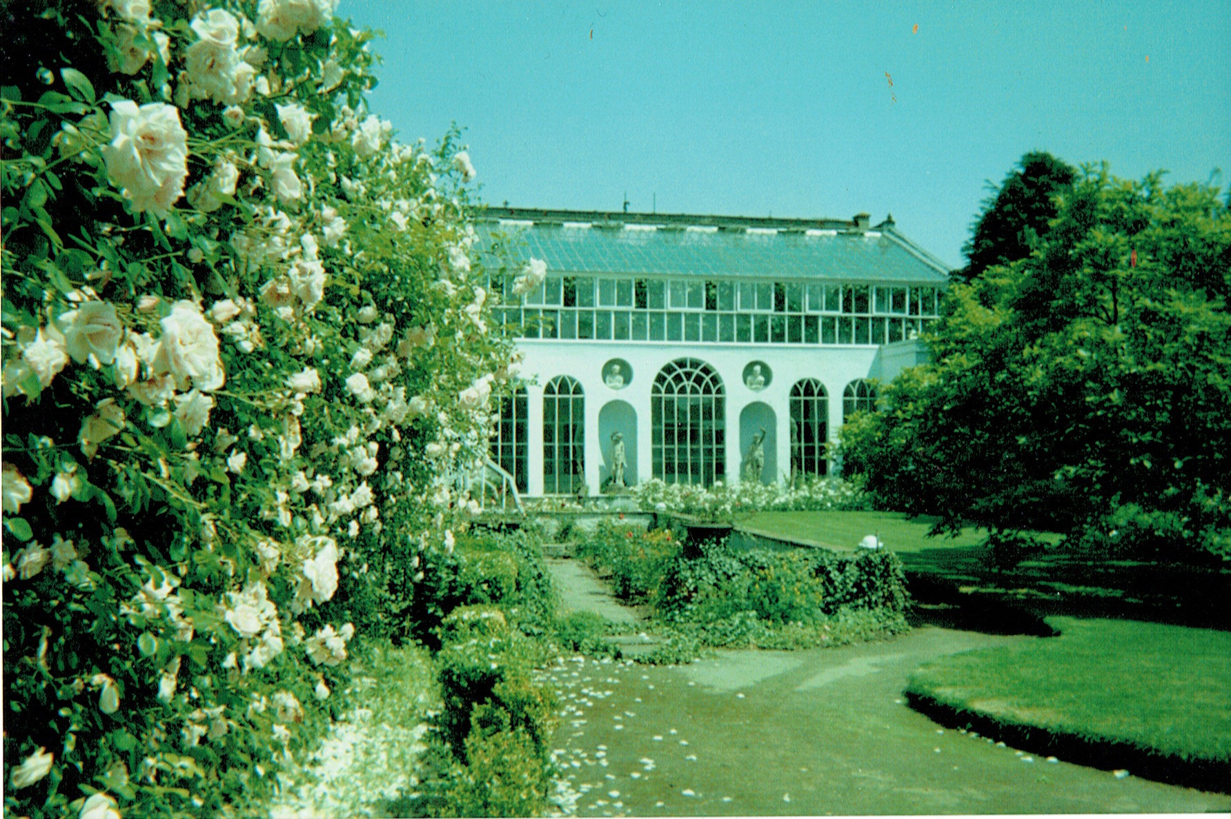 De Historische Druivenserre